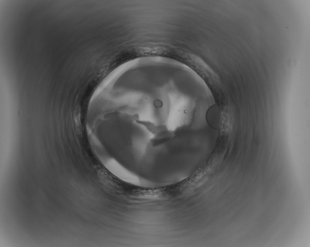 X0000113050377200909171546