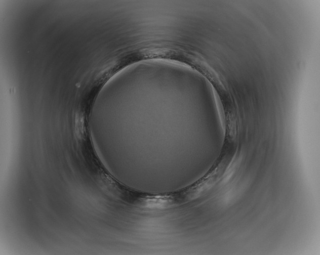 X0000113050378200909171546