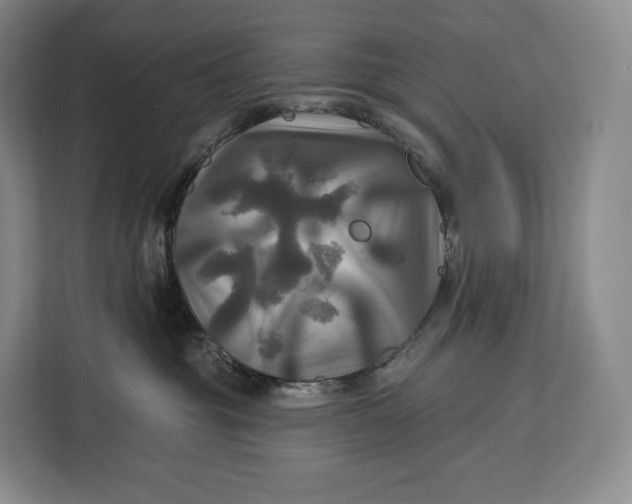 X0000113050381200909171546