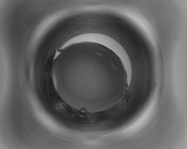 X0000113050382200909171546