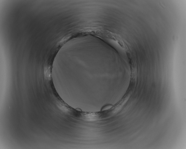 X0000113050383200909171546