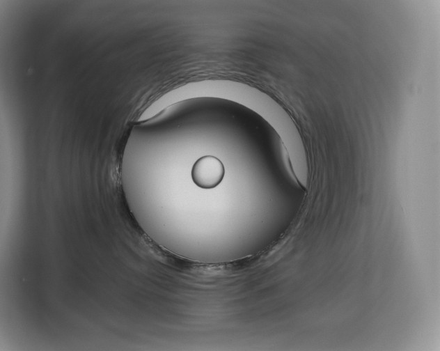 X0000113050384200909171546