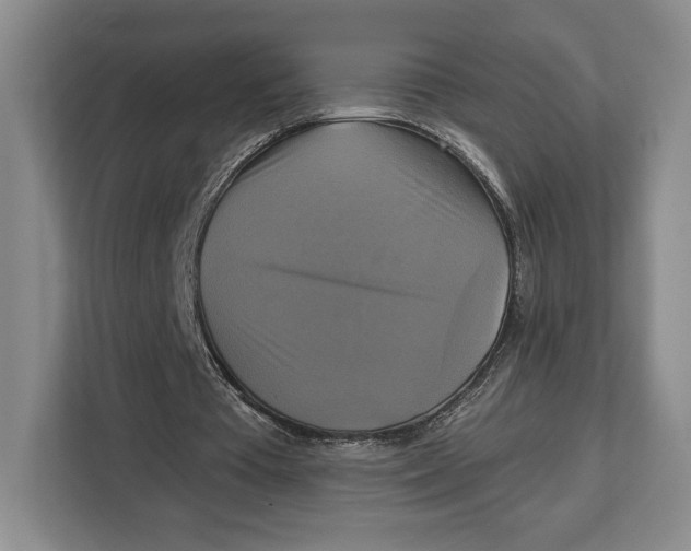 X0000113050385200909171545