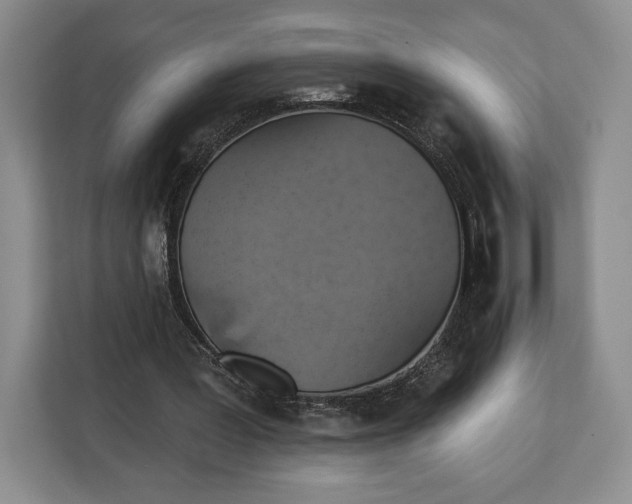 X0000113050387200909171545