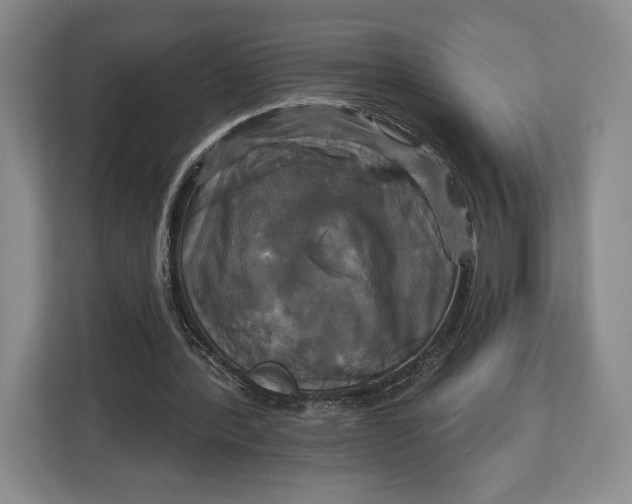 X0000113050388200909171545