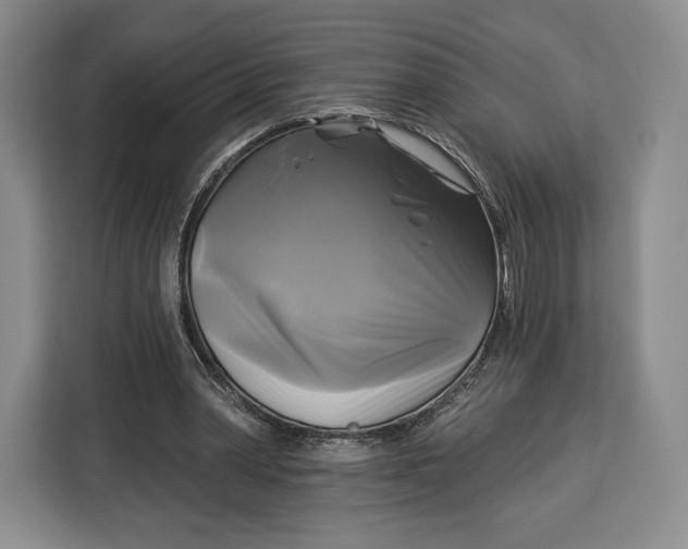 X0000113050390200909171545