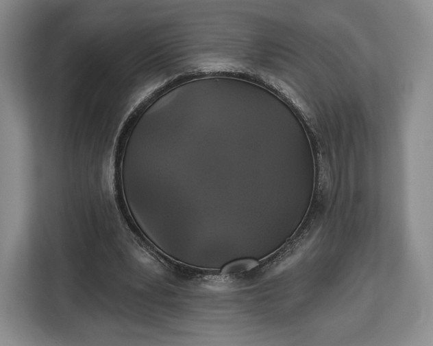 X0000113050391200909171545