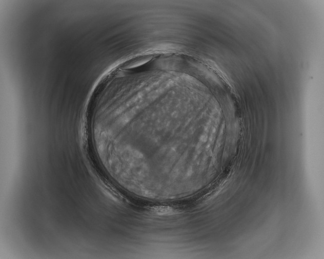 X0000113050392200909171545