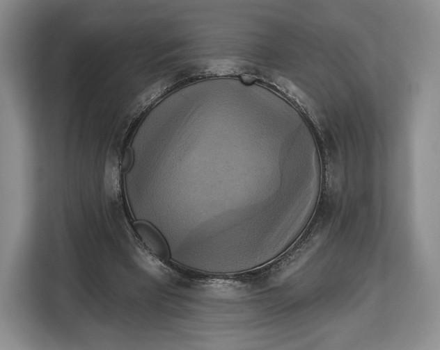 X0000113050393200909171545