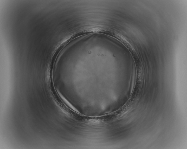 X0000113050394200909171545