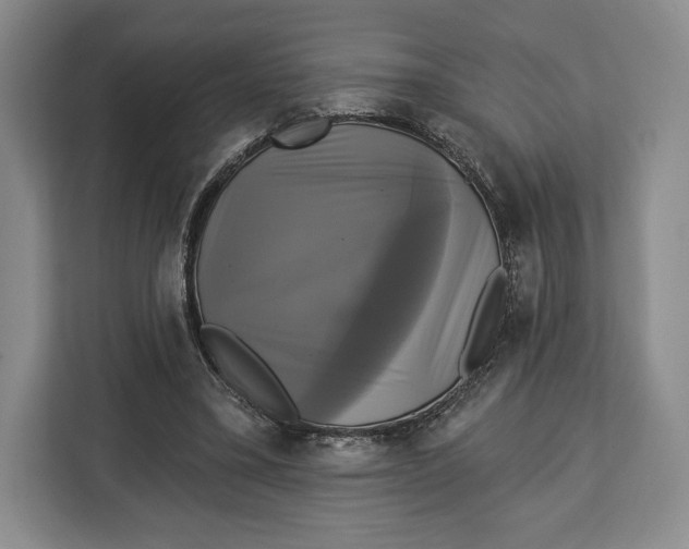 X0000113050395200909171545