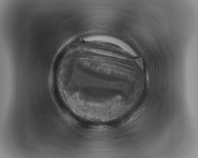 X0000113050396200909171545