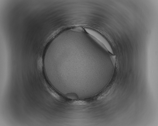 X0000113050397200909171545