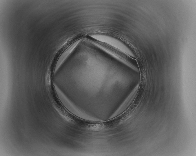 X0000113050398200909171545