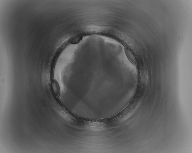 X0000113050399200909171545