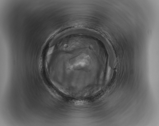 X0000113050400200909171545