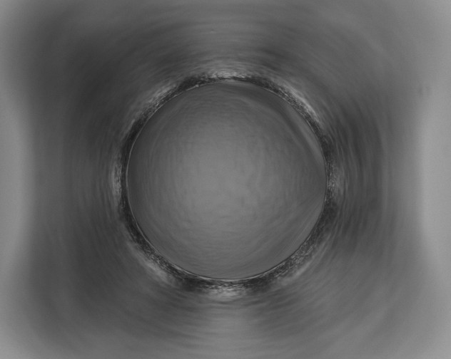 X0000113050402200909171545