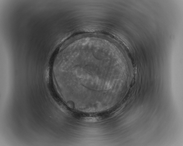 X0000113050404200909171545