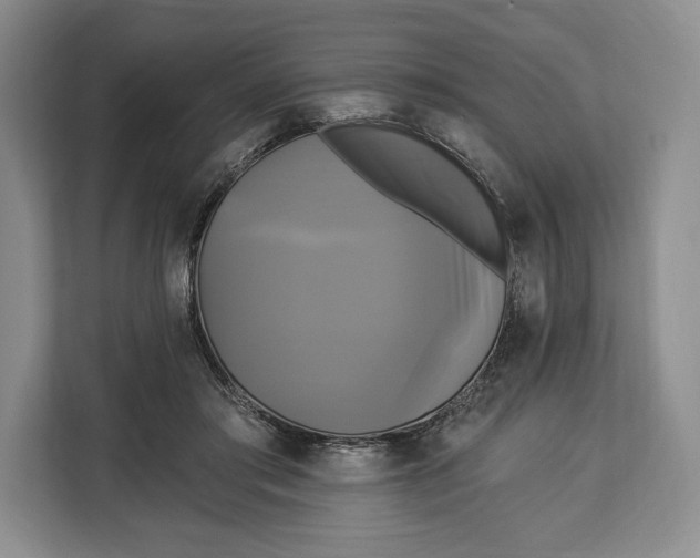 X0000113050405200909171545