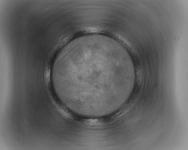 X0000113050406200909171545