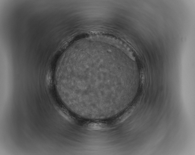 X0000113050408200909171545