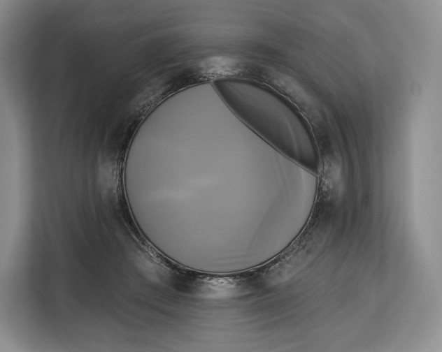 X0000113050409200909171545