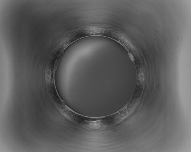 X0000113050411200909171545