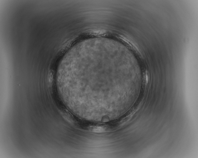 X0000113050412200909171545