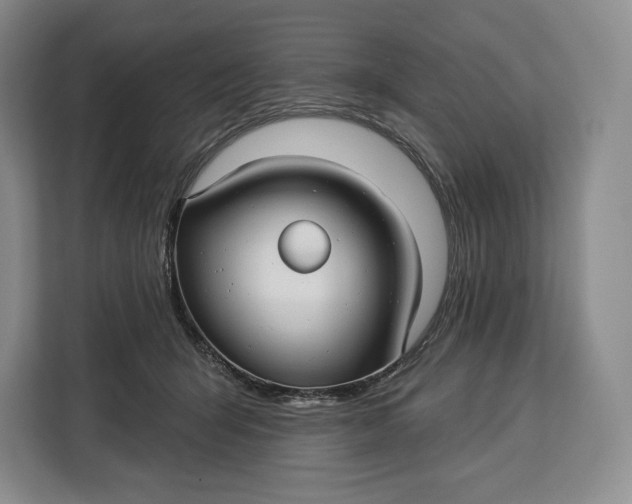 X0000113050415200909171545