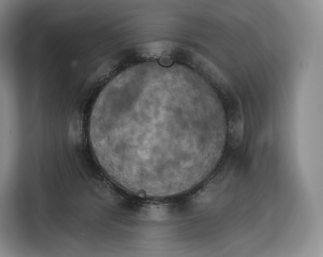 X0000113050416200909171545