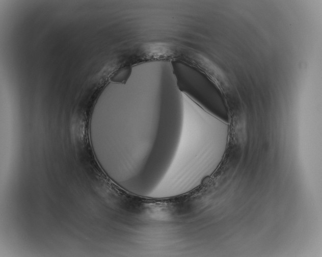 X0000113050417200909171545