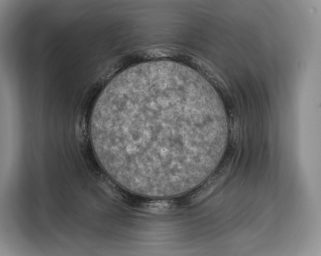 X0000113050418200909171545