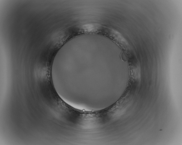 X0000113050419200909171545