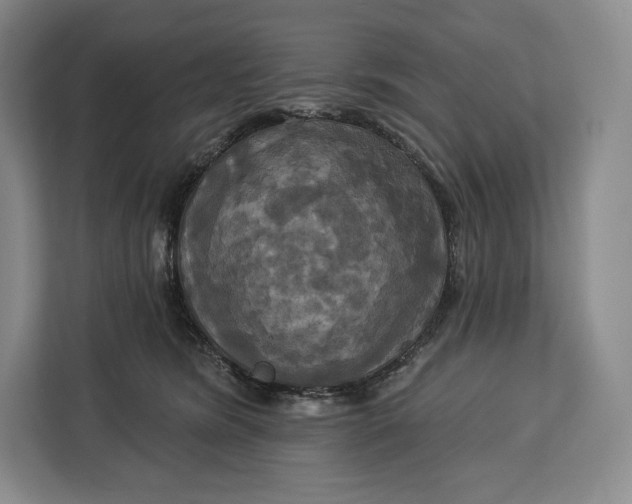 X0000113050420200909171545