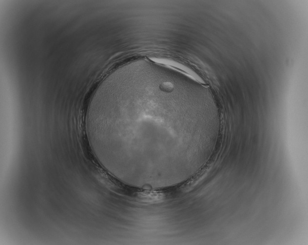 X0000113050421200909171545