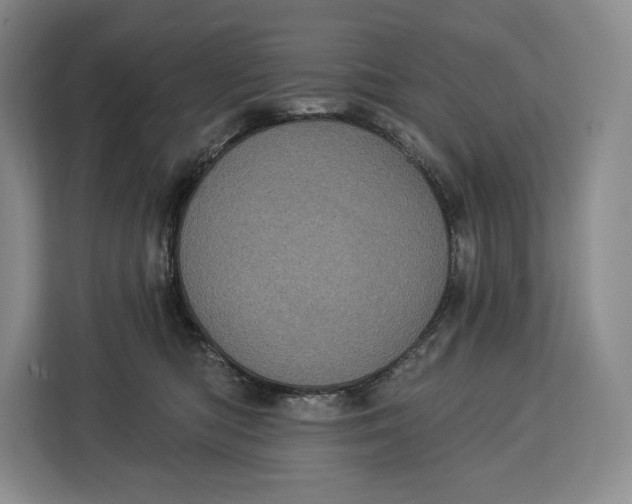 X0000113050422200909171545