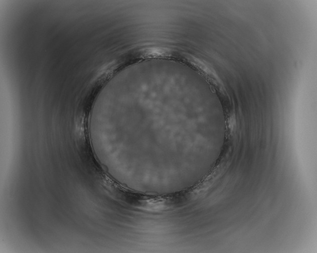 X0000113050423200909171545