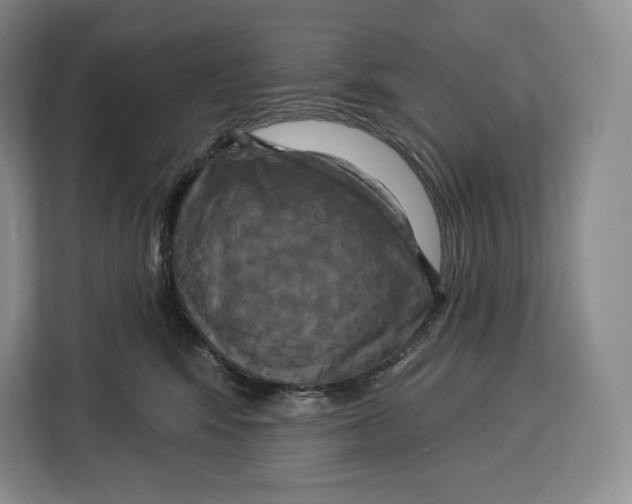 X0000113050424200909171545