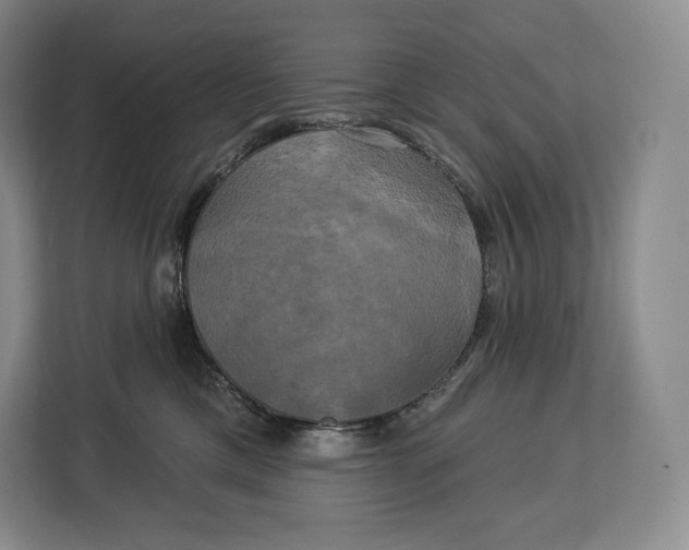 X0000113050425200909171545