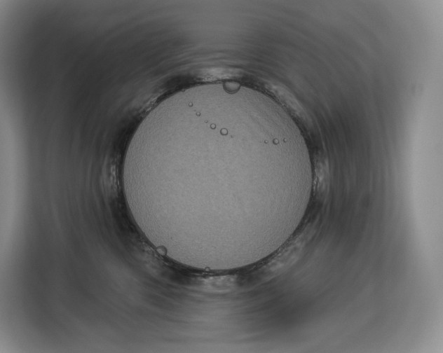 X0000113050426200909171545