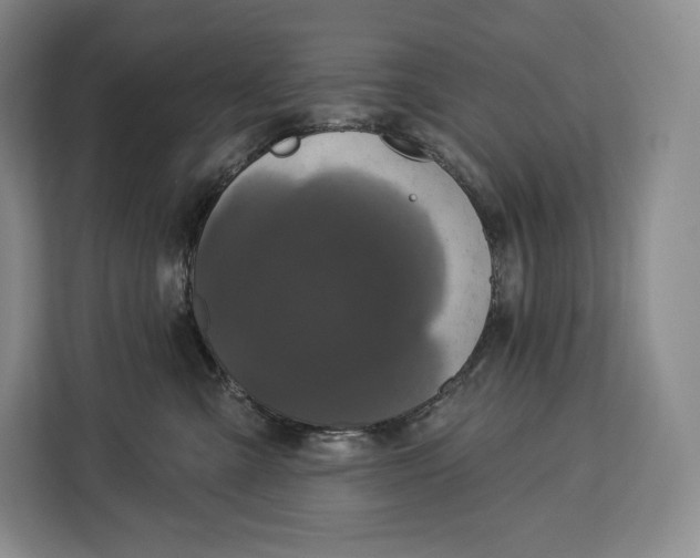 X0000113050427200909171545