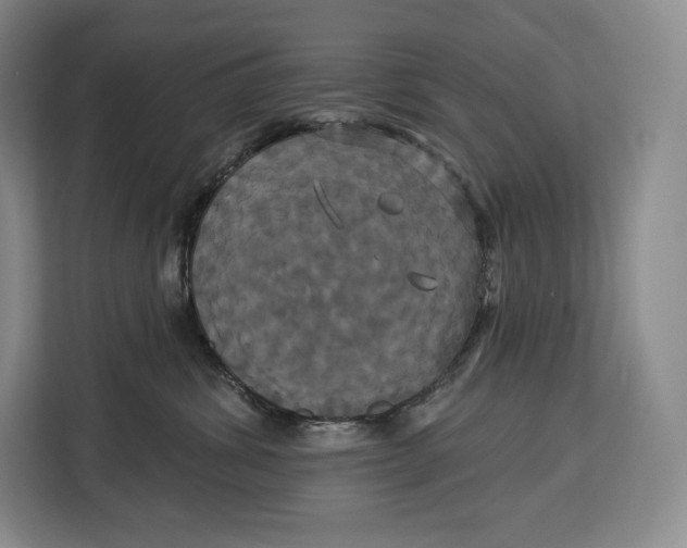 X0000113050428200909171545