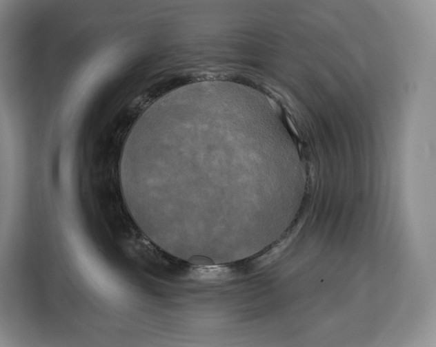 X0000113050429200909171545