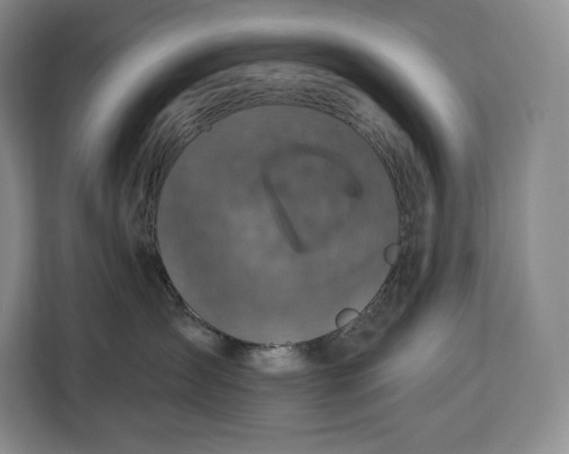 X0000113050431200909171545