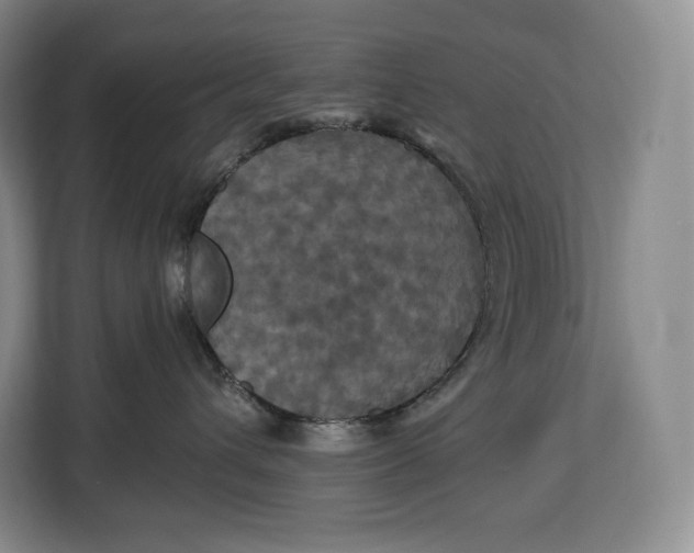 X0000113050432200909171545