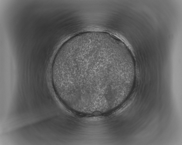 X0000113050433200909171544