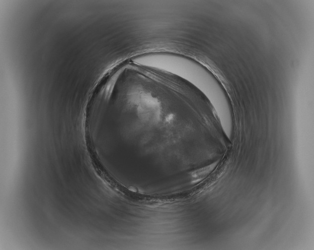 X0000113050434200909171544