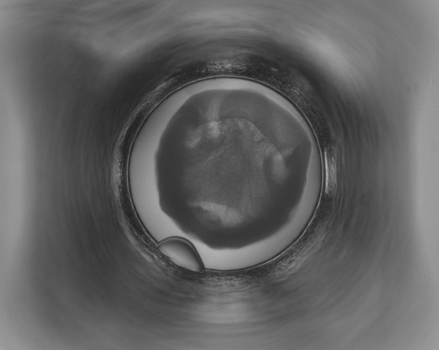 X0000113050435200909171544