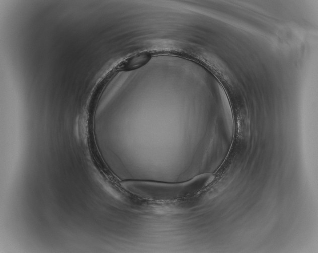 X0000113050436200909171544