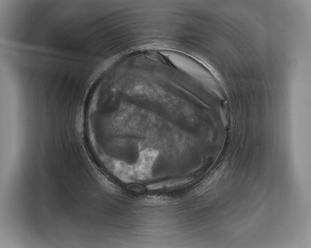 X0000113050437200909171544